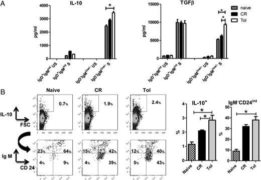 FIGURE 3. Regulatory B cells expressed high levels of IL-10 and TGF-β. (A) Purified IgD+IgMint or IgD−IgMlow/− splenic B cells from naive, chronically rejected (CR), and tolerant (Tol) recipients harvested at day 100 after transplantation were either unstimulated (US) or stimulated (S) for 3 d with CpG plus anti-CD40 Ab. IL-10 and TGF-β expression were assessed by ELISA and expressed in pg/ml ± SEM (n = 4). *p < 0.05. (B) Representative flow cytometry dot plots and histograms (%) of intracellular IL-10 staining versus forward scatter (FSC) and of IgM versus CD24 in IL10+ cells in purified splenic B cells from naive, chronically rejected (CR), and tolerant (Tol) recipients harvested at day 100 after transplantation and stimulated for 4 h with PMA/ionomycin in presence of GolgiStop ± SEM (n = 5). *p < 0.05.