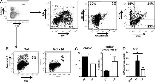 FIGURE 8. Presence of CD138+granzyme B+ B cells and IL-21 in tolerated grafts. (A) Representative flow cytometry dot plots of CD45RA+ B cells versus forward scatter (FSC) in tolerated allografts at day 100 after transplantation and in these cells of IgD versus IgM, CD24 versus CD27, and CD138 versus intracellular granzyme B. (B) Representative dot plot of intracellular granzyme B expression versus forward scatter (FSC) in CD45RA+ B cells. (C) CD138+ intracellular granzyme B+ in graft-infiltrating B cells and CD138+ in total graft-infiltrating cells were assessed by flow cytometry in chronically rejected (CR) and tolerant (Tol) recipients. Data were expressed as percentage ± SEM (n ≥ 3). (D) mRNA expression of IL-21 was analyzed by quantitative RT-PCR as described in Materials and Methods in grafts from syngeneic (Syng), chronically rejected (CR), and tolerant (Tol) recipients harvested at day 100 after transplantation. Results were analyzed for IL-21/HPRT transcript ratio and expressed in arbitrary units (AU) ± SEM (n ≥ 3). *p < 0.05.