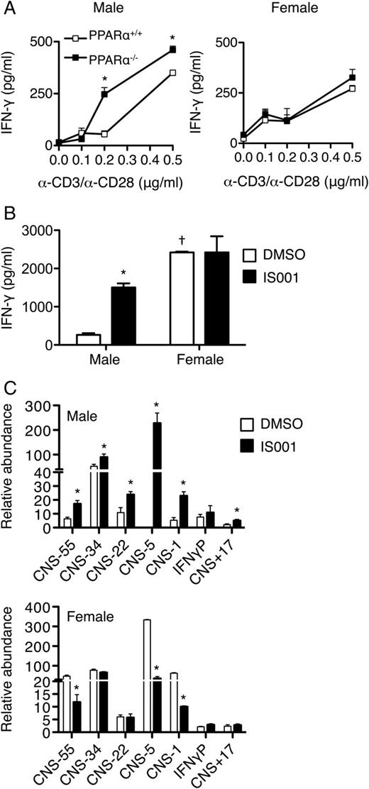 FIGURE 8. PPARα negatively regulates IFN-γ production by male CD8+ T cells. Total CD8+ T cells isolated from spleens of male or female WT and PPARα−/− mice (n = 5/group) were stimulated with anti-CD3 and anti-CD28 (A) or treated with 100 nmol/l IS001 or vehicle prior to stimulation (B and C). (A) Shown are the mean + SEM cytokine levels in culture supernatants of male and female cells after 24 h in one of two independent experiments that were done. Male and female data were collected from independent experiments and were thus not displayed in the same panel. *Significantly different from the WT group by two-tailed t test. (B) Shown are the mean + SEM cytokine levels in culture supernatants of male and female CD8+ T cell cultures in one of two representative experiments that were done. *Significantly different (p < 0.05) from the vehicle counterpart, †significantly different (p < 0.05) from sex-matched counterpart. Data were compared using a one-way ANOVA and Tukey post hoc test. (C) ChIP for H4-Ac was performed as described in Fig. 3 legend. Values are means + SEM of triplicate cultures or PCR reactions of one representative experiment of two that were done. Data are expressed as the relative abundance of immunoprecipitated DNA normalized to total input DNA less the minimal signal generated from the IgG control. *Significant difference (p < 0.05) from vehicle by two-tailed t test.