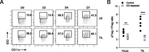 FIGURE 6. Posttreatment pTreg expansion is driven by IDO+ DC. (A) IDO expression profile of DC. MHC class II+CD11c+ DC were gated on and analyzed for IDO-1 expression following treatment. Typical staining patterns are shown (n = 3/time point). (B) Requirement for DC in pTreg expansion. Day 10 pTreg/tTreg ratios were determined in control (non–DC-depleted) and DC-depleted mice (n = 5/group). Each experiment was repeated at least twice with similar results. **p ≤ 0.01, ***p ≤ 0.001.