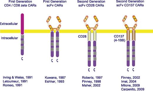 FIGURE 2. Design of CAR T cells. First-generation CARs incorporated the CD3ζ-chain or similar signaling domains. Ab-based redirection of T cells was first described by Kuwana and refined by Eshhar. Roberts and Finney first described second-generation CARs incorporating CD28 or CD137 signaling domains.