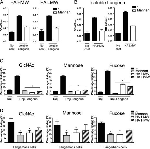 FIGURE 3. Hyal acid is a ligand for cellular langerin. Immunosorbant plates were coated with soluble langerin and langerin binding was determined. Specificity of langerin was determined by preincuating langerin with mannan (A). Immunosorbant plates were coated with HA HMW or LMW, langerin was determined, and langerin was blocked with mannan (B). Raji or Raji–Langerin cell line were preincubated with mannan, HA LMW, or HA LMW prior to incubation with GlcNAc-, mannose-, or fucose-coated beads. Mean ± SD of four independent experiments in duplicates (C). Human LCs were were preincubated with mannan, HA LMW, or HA LMW prior to incubation with GlcNAc-, mannose-, or fucose-coated beads. Mean ± SD of four independent donors (D). *p < 0.05.