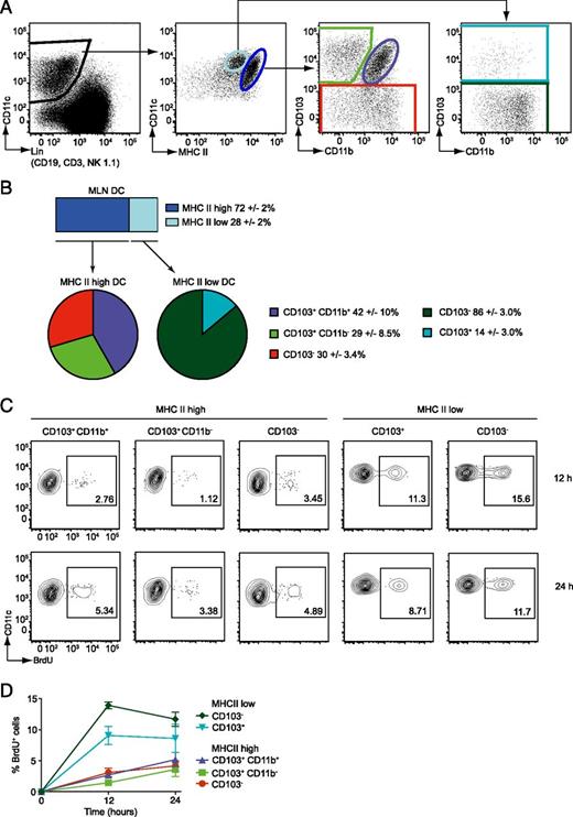 FIGURE 1. Migratory DCs in the MLN can be distinguished by high levels of MHC-II expression. Mice were injected i.p. with BrdU 12 or 24 h prior to FACS analysis of DC subsets in the MLN. (A) Representative plots showing the gating strategy used to identify migratory versus LN resident DC subsets among total viable cells in the MLN. (B) Graphical representation of MLN DC subset frequencies, according to gating strategy depicted in (A) (mean value ± SD, n = 23). (C) Representative plots showing BrdU incorporation of indicated DC subsets at 12 and 24 h after BrdU administration with the percentage of cells labeled with BrdU indicated. (D) Pooled BrdU-labeling results (mean value ± 95% confidence interval, n = 7 for each time point) from two separate experiments.