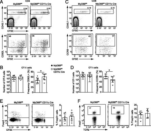 FIGURE 8. Reduced CCR9 expression and CD62L downregulation by T cells responding to an oral Ag in the MLN of mice lacking MyD88 selectively in DCs. (A–D) CFSE-labeled OT-I and OT-II cells were cotransferred into CD11c-Cre·MyD88fl/fl mice and MyD88fl/fl littermates. The mice were fed 10 mg OVA by gavage and MLN analyzed by flow cytometry 4 d later. (A) Representative results of cell cycle–dependent dilution of CFSE fluorescence intensity (upper panel) and CD62L expression (lower panel) by CD45.1+ OT-II cells. (B) Number of OT-II cells and frequency expressing CD62L. (C) Representative results of cell cycle–dependent dilution of CFSE fluorescence intensity (upper panel) and CCR9 expression (lower panel) by CD45.1+ OT-I cells. (D) Number of OT-I cells and frequency expressing CCR9. Results in (B and D) are pooled from three experiments (mean values ± 95% confidence interval, n = 7). Statistical analysis performed by Mann–Whitney U test. *p < 0.05. (E) CFSE-labeled OT-II cells were adoptively transferred to CD11c-Cre·MyD88fl/fl mice and MyD88fl/fl littermates. The mice were fed 50 mg OVA by gavage on consecutive 2 d, and MLN were analyzed by flow cytometry 3 d after the last dose. Representative results of Foxp3 expression in relation to cell cycle–dependent dilution of CFSE by OT-II cells and percentages of Foxp3+ OT-II cells pooled from two experiments are shown (mean value ± 95% CI, n = 7–8). (F) The frequency of Foxp3+ cells among CD4+ T cells (viable CD45+ TCR-β+ cells) in the SI LP of CD11c-Cre·MyD88fl/fl and MyD88fl/fl littermates was analyzed by flow cytometry. Representative results of Foxp3 expression and pooled frequency of Foxp3+ cells from two experiments are shown (mean value ± 95% confidence interval, n = 5–6).
