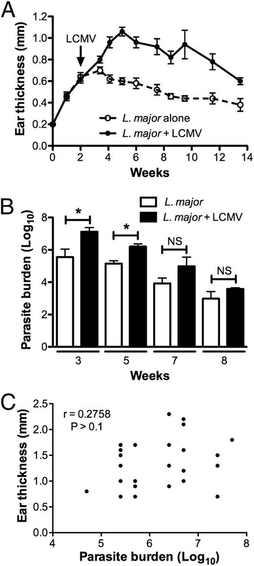 FIGURE 1. Coinfection of L. major–infected mice with LCMV exacerbates lesion formation. (A) Mice infected with L. major in the ear were challenged 2 wk later with LCMV and ear thickness was measured weekly. (B) Parasite burden in the lesions was determined at 3, 5, 7, and 8 wk post L. major infection. (C) Correlation of the lesion size and parasite burden of coinfected mice. Data are representative of at least two independent experiments (n = 4–5 mice/group). Error bars represent SEM. *p < 0.05.