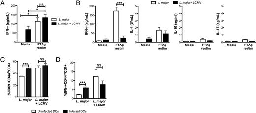 FIGURE 4. Coinfection with L. major leads to a transient immunosuppression. (A) Lymph nodes draining the site of L. major infection were harvested 3 wk postinfection with LCMV, and single-cell suspensions were stimulated with leishmanial Ag. Supernatants were collected at 72 h, and IFN-γ levels were assessed by ELISA. (B) Lymph nodes draining the site of L. major infection were harvested 7 d postinfection with LCMV, and single-cell suspensions were stimulated with leishmanial Ag. Supernatants were collected at 72 h, and IFN-γ, IL-4, IL-10, and IL-17 levels were assessed by ELISA. (C and D) Bead-purified CD4+ T cells from the spleens of mice 3 wk postinfection with either L. major alone or L. major and LCMV were cultured with infected or uninfected DCs overnight. BFA and monensin were added to cultures for the final 4 h before staining and analysis by flow cytometry. Cells were gated on live, CD45+,CD4+,CD44hi before analysis of expression of CD69 (C) and IFN-γ (D). Data are representative of three independent experiments [(A and B), n = 3–5 mice/group] or a single experiment [(C and D), n = 3 mice/group]. Error bars represent SEM. *p < 0.05, ***p < 0.0001.