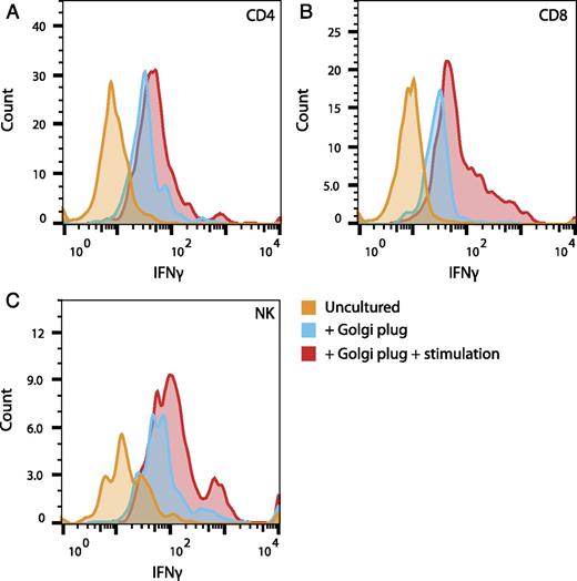 FIGURE 6. T-bet–independent production of IFN-γ. Lymphocyte populations isolated from the day 8 infected T-bet−/− brain were stained for intracellular IFN-γ and analyzed by flow cytometry. Results for IFN-γ content in cells gated for their phenotypic markers CD4 (A), CD8 (B), and CD335/NKp46 (C) are expressed as histograms. The results for cells analyzed directly ex vivo (orange), cultured overnight with brefeldin A (blue), and cultured overnight with brefeldin A after stimulation with PMA/A23187 (red) are shown.