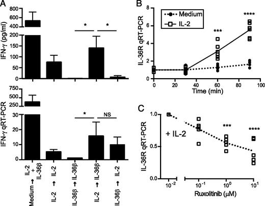 FIGURE 3. IL-2 induces rapid IL-36R mRNA expression and STAT5 binding to multiple sites surrounding the Il1rl2 (IL-36R) gene. (A) Secretion of IFN-γ protein (top) and IFN-γ mRNA expression (bottom, normalized to β-actin) by purified day 4 DCo OT-I cells following two consecutive 4-h in vitro restimulation periods in which the cultures were supplemented with or without IL-2 (1 μg/ml) and/or IL-36β (100 ng/ml) as indicated. Data are representative of three independent experiments with three mice per group in each. (B) qRT-PCR analysis of IL-36R mRNA expression (normalized to β-actin) in purified day 4 DCo OT-I cells treated with or without IL-2 (0.5 μg/ml) for 0, 30, 60, or 90 min (n = 6 mice/group). (C) qRT-PCR of IL-36R mRNA expression (normalized to β-actin) in purified day 4 DCo effector CD8 T cells treated with a titration of ruxolitinib (STAT5 inhibitor) for 20 min prior to IL-2 (0.1 μg/ml) for 60 min (n = 5 mice/group). *p < 0.05, ***p < 0.001, ****p < 0.0001.