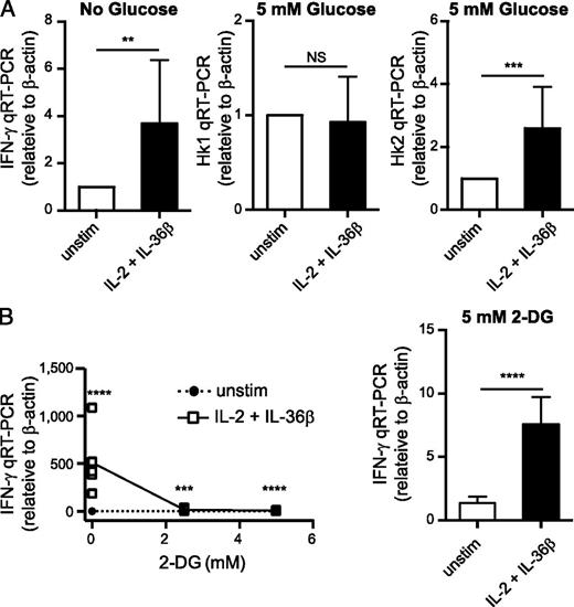 FIGURE 5. The effects of modulating glucose and glycolysis in DCo effector CD8 T cells. (A) qRT-PCR analysis of IFN-γ, Hk1, and Hk2 mRNA expression in purified day 4 DCo OT-I cells restimulated 1 h in vitro with or without IL-2 (1 μg/ml) and IL-36β (100 ng/ml) in the presence of the indicated concentrations of d-glucose (normalized to β-actin) (n = 4/group, and each replicate was pooled from three separate mice). (B) qRT-PCR analysis of IFN mRNA expression in purified day 4 DCo OT-I cells restimulated 1 h in vitro with or without IL-2 (1 μg/ml) and IL-36β (100 ng/ml) in the presence of the indicated concentrations of 2-DG (n = 9/group). **p < 0.01, ***p < 0.001, ****p < 0.0001.