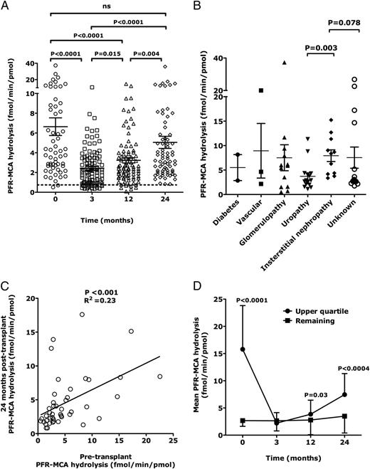 FIGURE 1. Longitudinal analysis of catalytic IgG in patients undergoing renal transplant. (A) Evolution of IgG-mediated catalytic activity in patients with renal transplant. IgG were purified from the plasma of patients collected prior to kidney transplant (n = 59), as well as 3 (n = 100), 12 (n = 92), and 24 mo (n = 73) following transplantation. Purified IgG (66.67 nmol) were incubated with the PFR-MCA substrate (100 μmol) at 37°C for 24 h. PFR-MCA hydrolysis was quantified by measuring the fluorescence of the leaving fluorescent MCA moiety and is expressed in femtomoles of hydrolyzed substrate as a function of time per picomole of IgG. The hydrolysis of PFR-MCA by pooled IgG from healthy donors is depicted by a dotted line. Hydrolysis was compared between groups using the two-tailed Mann–Whitney U test. (B) Catalytic IgG in patients with different causes for end-stage renal failure. The study cohort included 2 patients with diabetes, 3 with vasculopathy, 13 with glomerulopathy, 15 with uropathy, 11 with interstitial nephropathy, and 15 with unknown cause for end-stage renal failure. Statistical significances were assessed using the two-tailed Mann–Whitney U test. (C) Correlation between IgG-mediated PFR-MCA hydrolysis prior to transplantation and 24 mo later. The rates of IgG-mediated PFR-MCA hydrolysis measured prior to renal transplant and after 24 mo were positively correlated as analyzed by linear regression. (D) Longitudinal follow-up of the patients displaying high levels of catalytic IgG. The pretransplant patients were divided into quartiles, and the mean rates of PFR-MCA hydrolysis of the upper quartile were compared with those of the pooled remaining quartiles. Hydrolysis was compared between groups using the two-tailed Mann–Whitney U test.