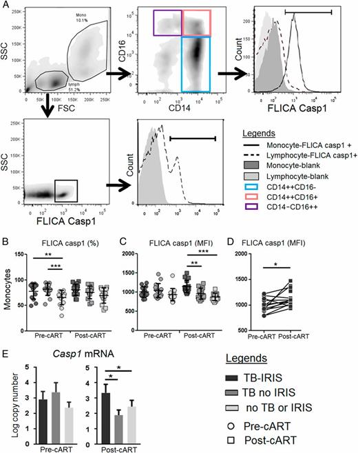 FIGURE 1. Expression of activated casp1 in monocytes from HIV-infected patients with TB-IRIS, TB no IRIS, and no TB or IRIS. (A) Representative FACS plots showing the distribution of monocyte subsets (top bars), defined by CD14 and CD16 markers expressing activated casp1. (B and C) Percentage and MFI of activated casp1 in total monocytes at baseline (pre-cART) and at the time of IRIS or EQT cART in patients with TB-IRIS (post-cART) (n = 16), TB no IRIS (n = 16), or no TB or IRIS (n = 19). (D) Changes in activated casp1 expression at baseline (pre-cART) and post-cART in patient with TB-IRIS. (E) Quantification of Casp1 normalized against stable housekeeping genes TBP and SDHA in monocytes. Data were analyzed using the Kruskal–Wallis test across three patient groups. Post hoc Mann–Whitney U tests were then performed for those biomarkers with a Kruskal–Wallis test p value <0.05. A Wilcoxon matched-pairs test was used for paired analyses within each study group.
