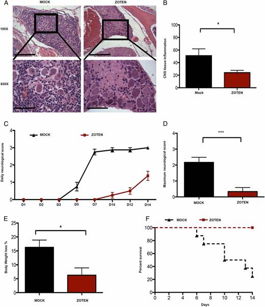 Intravaginal Zinc Oxide Tetrapod Nanoparticles as Novel