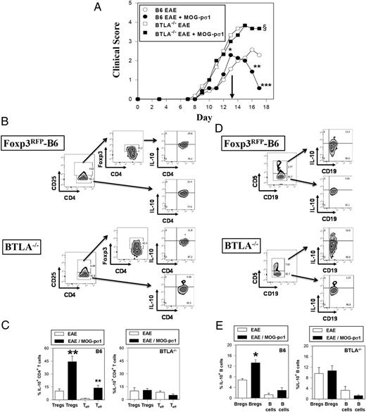 FIGURE 7. A lack of IL-10 activation in BTLA−/− accounts for increased susceptibility to MOG-induced EAE. (A) Groups of C57BL/6 and BTLA−/− mice were induced with EAE on day 0 and were subsequently treated with PBS (B6 mice, n = 7; BTLA−/− mice, n = 6) or MOG-pσ1 (B6 mice, n = 7; BTLA−/− mice, n = 6) on day 13 (arrow). Clinical scores were measured throughout the disease. ***p < 0.001, **p < 0.005, *p = 0.036 versus PBS-treated B6 mice. §p < 0.030 for PBS- or MOG-pσ1–treated BTLA−/− mice versus PBS-treated B6 mice. (B) MOG-pσ1–treated BTLA−/− mice failed to show an induction of IL-10. (B–E) Additional groups of PBS- and MOG-pσ1–treated Foxp3RFP-B6 and BTLA−/− mice were treated as described in (A), and 4 d after treatment, isolated HNLNs were evaluated for IL-10 expression by Tregs and Teff cells (B and C) and CD5+ Bregs and CD5− B cells (D and E). In BTLA-sufficient mice, MOG-pσ1 was able to significantly induce IL-10 by both Tregs (C) and Bregs (E) whereas there were no changes in IL-10 production by these same cells from BTLA−/− mice. Depicted data are representative of two experiments. **p = 0.003, *p ≤ 0.019 versus cells from EAE mice.