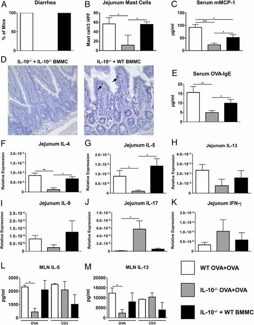 FIGURE 7. Adoptive transfer of WT BMMCs restores allergic diarrhea, mast cell activation, and Th2 cytokine production in IL-10−/− mice. WT and IL-10−/− mice were sensitized and challenged with OVA. A group of IL-10−/− mice received WT BMMCs prior to sensitization. One hour after the sixth challenge, mice were sacrificed. (A) Percentage of diarrhea-positive animals, (B) intestinal mast cell numbers, (C) serum mMCP-1 levels, (D) histology depicting chloroacetate esterase–positive cells (mast cells are shown by arrows), (E) serum OVA-IgE levels, (F–K) jejunal cytokine expression, and (L and M) cytokines secreted by MLN cells in response to OVA stimulation is shown. Data are representative of two independent experiments. *p < 0.05, **p < 0.01, ***p < 0.0001 (Student t test).