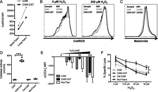FIGURE 4. A bystander effect is mediated by CAR-CAT T cells toward nonmodified T and NK cells. (A) T cells were labeled with CellROX for both a short-term and long-term staining, and CellROX MFI on CAR− T cells was determined after cells were acquired by FACS. (B) Healthy donor autologous T cells were CFSE labeled and admixed with transduced T cells followed by staining with Abs and CellROX and acquired by flow cytometry. (C) CAR-CAT and CAR− cells were labeled with maleimide and surface thiols were evaluated. (D) Supernatants were collected from transduced and nontransduced T cells and tested for catalase activity. (E) H2O2 was used to induce oxidative stress in T cell culture for 2 h prior to staining. Cells (2 × 105) were stained for CD3ζ using FITC-conjugated anti-CD3ζ after permeabilization with 0.25% PFA and digitonin. Cells were acquired by FACS, and change in CD3ζ MFI was calculated by: CD3ζ MFI(xμM H2O2) − CD3ζ MFI(0μM H2O2) gated on the CAR− fraction. (F) NK cells were cocultured with engineered T cells at a ratio of 2:1 CAR T cell/NK cell overnight under oxidative stress induced by different concentrations H2O2. K562 target cells were loaded with [51Cr] and added to the NK/T cell mix after H2O2 coculture at a ratio of 1:1 NK cell/K562 cell. Supernatant (25 μl) was transferred to LumaPlates and read out on MicroBeta. Data are presented as means ± SD. *p < 0.05 by two-way ANOVA using GraphPad Prism 5 for (C) between CAR and CAR-CAT.