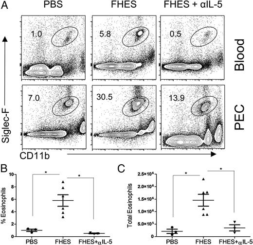 FIGURE 5. FHES induces eosinophils via IL-5 and IL-5 is required for protection against EAE. (A) FACS plots of eosinophils in blood and PECs of C57BL/6 mice injected i.p. with FHES or PBS with or without anti–IL-5 treatment and a data summary of eosinophils in blood (B) and PEC (C). *p < 0.05 versus FHES.
