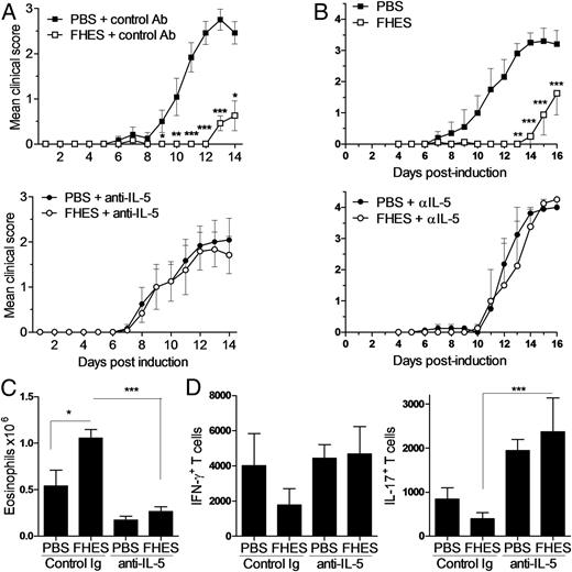 FIGURE 6. FHES-induced eosinophilia and the protective effect against EAE is lost after neutralization of IL-5. (A) EAE in C57BL/6 mice treated with FHES or PBS and injected with anti–IL-5 or control IgG1 every second day from day −1. (B) EAE in C57BL/6 mice treated with FHES or PBS and injected with anti–IL-5 every second day from day 5. Eosinophils in blood (C) and absolute numbers of IFN-γ+ or IL-17+ T cells in the brain (D) determined with ICS on brain mononuclear cells from mice on day 15 of EAE treated with FHES or PBS from day 5 onward. Results are means of five or six mice per group and are representative of two separate experiments. *p < 0.05, **p < 0.01, ***p < 0.001 versus PBS or isotype control Ab.