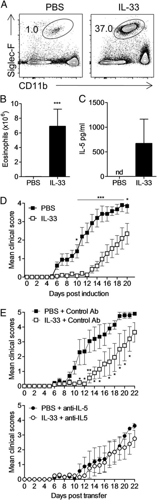 FIGURE 8. Recombinant IL-33 promotes eosinophilia and protects against EAE via induction of IL-5. (A–C) Mice were injected with PBS or IL-33 (0.3 μg) daily for 5 d. (A) FACS plots depicting the proportion of eosinophils within the PEC on day 6, gated on live single cells, with absolute number of eosinophils (B) and serum IL-5 concentrations on day 6 (C). (D) EAE clinical scores of mice treated with recombinant IL-33 (0.5 μg) or PBS every second day from day −1. Mean scores of two pooled experiments. (E) EAE in C57BL/6 mice treated with recombinant IL-33 or PBS and injected with anti–IL-5 or control IgG1 every second day from day –1. n = 5, representative of two experiments. *p < 0.05, **p < 0.01, ***p < 0.001 versus PBS treated mice.