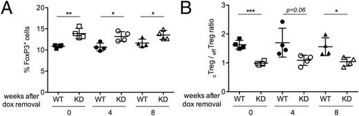 FIGURE 6. Transient Ptpn22 silencing is sufficient for prolonged expansion of the Treg cell population. The frequency of Treg cells (A) and of effTreg cells (shown as cTreg/effTreg ratio) (B) remain increased up to 8 wk after cessation of doxycycline (dox) treatment. WT and Ptpn22 transgenic mice were treated with doxycycline for 4 wk and the treatment was either stopped after 4 wk or continued for an additional 4 or 8 wk. Lymph nodes cells from WT and Ptpn22 KD mice were analyzed after a total of 12 wk. Mean values ± SEM from four mice per group are shown. *p < 0.05, **p < 0.01, ***p < 0.001.