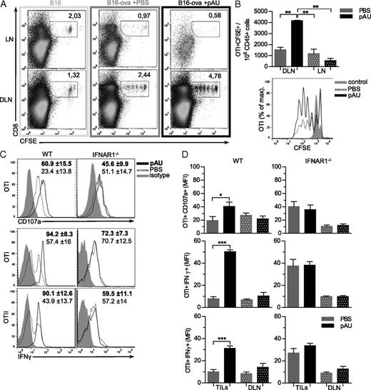 FIGURE 5. Poly A:U treatment promotes Ag-specific immune response against tumor. (A) OTI-transferred cells to B16 or B16-ova tumor-bearing mice were recovered 3 d after from LN and DLN, and CFSE proliferation was analyzed. Numbers in the upper corner indicate percentages of CD8+ proliferating cells. (B) Relative quantitation of OTI CD8+ CFSE+/low cells from (A). (C) After 6 d, OTI or OTII were recovered from tumors and DLN and intracellular staining for flow cytometry analysis was performed. (D) Data are shown as mean ± SD and are representative of two independent experiments (n = 9 mice/ group). *p < 0.05, **p < 0.01, ***p < 0.001, Bonferroni posttest to ANOVA analysis.