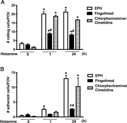 FIGURE 7. Epicutaneous application of fingolimod attenuates histamine-induced cell rolling and adhesion. Mice were injected intradermally with histamine (8 mg) followed at 30 min with topical treatment of fingolimod (10 μg) or chlorpheniramine and cimetidine (0.2 mg). (A) Rolling and (B) adherent leukocytes were observed in postcapillary venules of the ears using intravital microscopy at 0, 1, and 24 h after histamine injection; n = 6–8 mice/group, in three individual experiments. *p < 0.05 versus corresponding 0 h of EPH/fingolimod/chlorpheniramine + cimetidine treatment, #p < 0.05 versus histamine + EPH at corresponding time points.