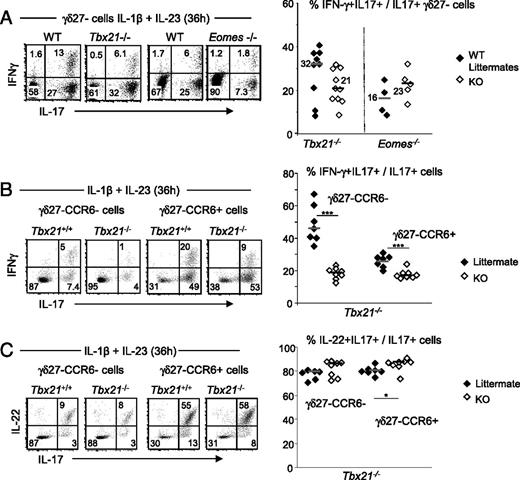 FIGURE 4. T-bet regulates IFN-γ production in γδ27−CCR6− and γδ27−CCR6+ T cells in vitro. (A) Total γδ27− cells were FACS sorted from Tbx21−/− and Eomes−/− mice, restimulated 36 h with IL-1β plus IL-23, and assessed for IFN-γ and IL-17 production. The graph depicts the percentage of γδ27− T cells that coproduce IFN-γ and IL-17 of the total IL-17+γδ27− T cells. (B and C) γδ27−CCR6− and γδ27−CCR6+ cells were FACS sorted from Tbx21−/− mice, restimulated 36 h with IL-1β plus IL-23, and assessed for (B) IFN-γ and IL-17 production and (C) IL-22 and IL-17 production. The graphs on the right depict the percentage of γδ27−CCR6− and γδ27−CCR6+ cells that coproduce IFN-γ/IL-17 and IL-22/IL-17 of the total IL-17+γδ27− T cells. The graphs result from two or more experiments. *p < 0.05, ***p < 0.005 (Mann–Whitney two-tailed test).