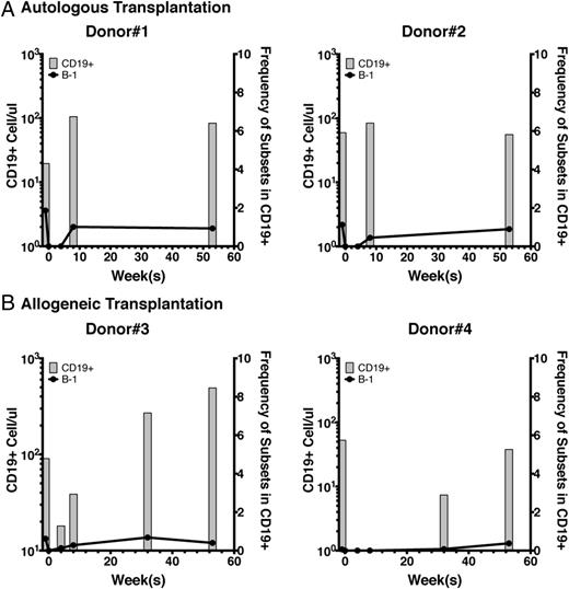 FIGURE 5. Reconstitution of B-1 and B-2 cell compartments in patients undergoing HSCT for treatment of hematologic malignancy. (A and B) Numbers of CD19+ B cells from four HSC recipients before transplant (time 0) and at 4, 8, 32, and 52 wk after transplant are shown. Patients in (A) received autologous HSCs, whereas patients in (B) received allogeneic HSCs. Black lines indicate the frequencies of B-1 cells in total CD19+ B cells at different time points.