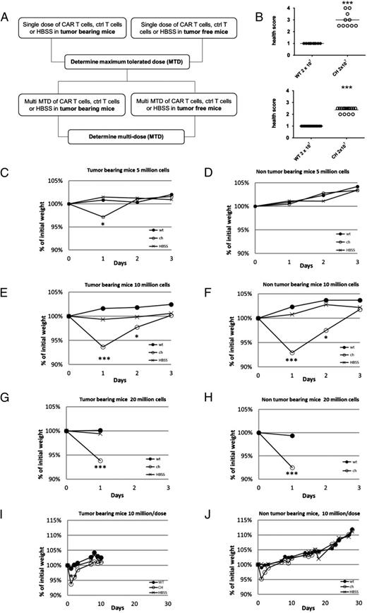 FIGURE 1. Determination of maximum tolerated dose (MTD) for NKG2D CAR T cells. (A) Overview of approach to determine MTD for single and multidose treatment with murine NKG2D CAR T cells. (B) The health score for mice injected with 2 × 107 wtNKG2D T cells (WT) or NKG2D CAR T cells (CH) in non–tumor-bearing (lower) and tumor-bearing (upper) mice is shown. Each symbol represents an individual mouse at the time of euthanasia. (C–J) The percentage change in initial weight in the days following injection of NKG2D CAR T cells, wtNKG2D T cells, or HBSS is plotted for 3–28 d after T cell injection. Average values for each group are shown (n = 10 per group). Mice were treated with a single dose of 5 × 106 T cells (C and D), 107 T cells (E and F), or 2 × 107 T cells (G and H). Mice were RMA tumor bearing (C, E, and G) or non–tumor bearing (D, F, and H). (I) RMA tumor-bearing mice (RMA cells i.v. at day −5) were injected with 107 T cells or HBSS on days 0 and 7. (J) Non–tumor-bearing mice were injected with 107 T cells or HBSS on days 0, 7, and 14. Data are from two independent experiments (n = 10 per group). A Student t test was used to compare differences between groups using a two-tailed test assuming unequal variance. *p < 0.05, **p < 0.01, ***p < 0.001 compared with wild-type. CH, NKG2D CAR T cells; MTD, maximum tolerated dose; WT, wtNKG2D T cells.