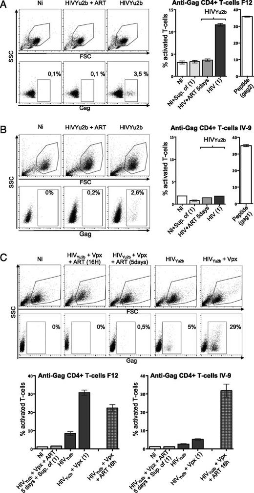 FIGURE 2. Endogenous presentation of HIV Gag Ag is epitope-dependent. HLA-DRβ1*01+ DC were generated and infected with HIV with and without ART as in Fig. 1. Five days p.i., the percentage of Gag+ cells was monitored by ICS (A and B, left panel) and DC used to stimulate HS CD4+ T cell clones, F12 (A) and IV-9 (B) that are restricted by HLA-DRβ1*01. T cell activation was monitored using ICCS (A and B, right panel). Results are presented as the proportion of activated cells producing at least one cytokine/chemokine and are the means ± SD of duplicates. Noninfected DC (Ni) and DC pulsed with the cognate peptide (gag2 or gag1, 0.5 μg/ml) were used as negative and positive controls, respectively. Noninfected DC pulsed overnight in the presence of ART with the supernatant of HIV-infected cells [Ni + Sup. of (1)] and DC infected in the presence of ART (HIV + ART 5 d) were used as control. (C) Side-by-side comparison of F12 and IV-9 activation by infected DC generated from the same HLA-DRβ1*01+ individual. When stated, to enhance infection, DC were loaded with SIV-Vpx 1 h prior to infection [HIV + Vpx (1)]. The infectivity (percentage of Gag+ cells) was evaluated. To confirm the capacity of IV-9 to recognize HIV-derived Ag, 16 h prior to ICCS, uninfected DC were pulsed with a high dose of HIV in the presence of ART (HIV + Vpx + ART 16 h). Under these conditions, the source of HIV Ag corresponds to the incoming viral particles. To monitor the residual contribution of Ag transfer or/and exogenous Ag presentation in T cell activation, as in (A) and (B), DC infected in the presence of ART (HIV + Vpx + ART) were loaded with the supernatant of infected cells [Sup. of (1)] and used as control. The results are representative of at least three independent experiments using DC from various donors. HIV (1), HIV-infected cells; Ni, noninfected cells; Sup. of (1), supernatant of HIV-infected cells.