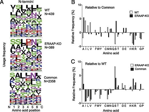 FIGURE 3. ERAAP editing results in a unique N-terminal peptide motif. (A) WebLogo plots showing the N-terminal amino acid composition of peptides either specific to WT and ERAAP-deficient cells or common to both. Amino acids are represented by their single letter symbol, and the size of the letter is proportional to the frequency with which that amino acid occurs at the position indicated on the x-axis. The color of the letter indicates the chemical nature of the amino acid as follows: green, polar; black, hydrophobic; red, acidic; magenta/blue, basic. N indicates the numbers of distinct peptides in the group. (B) The relative frequency of each amino acid at the N-terminal position of WT- and ERAAP-KO–specific peptides was calculated by subtracting the frequency of occurrence of the amino acid at that position in common peptides from the frequency of occurrence in WT- or ERAAP-KO–specific peptides. (C) Frequency of individual amino acids at the N terminus of common or ERAAP-KO–specific peptides relative to WT-specific peptides.