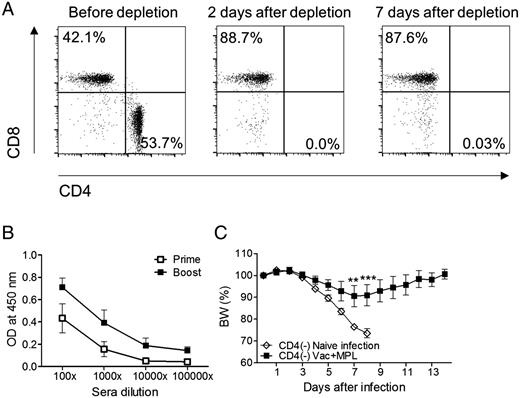 FIGURE 5. Ab production and protective efficacy of MPL-adjuvanted vaccination against influenza virus in CD4-depleted C57BL/6 WT mice. (A) C57BL/6 WT mice were injected with anti-CD4 mAb (200 μg/mouse, clone GK1.5) to deplete CD4+ T cells. Blood cells from CD4-depleting Ab–treated mice were used to determine the efficacy of CD4 depletion. CD4 and CD8 marker profiles are shown from CD3+-gated T cells. (B) Virus-specific Ab levels of immunized CD4-depleted mice after prime and boost immunization. CD4-depleted WT mice were immunized i.m. with Vac+MPL. To maintain CD4 depletion status, the mice were injected with CD4-depleting Abs every 7 d. Immune sera (n = 5 per group) were collected 2 wk after each immunization. Inactivated virus-specific Ab levels were determined by ELISA and are shown as mean ± SEM of OD. (C) Body weight changes of the CD4-depleted mice after lethal virus infection. Naive and the immunized CD4-depleted mice were challenged with a lethal dose of A/California/07/2009 (H1N1) virus intranasally. Body weight changes of the infected mice were daily monitored for 14 d. Statistical significance was calculated by two-way ANOVA and followed by a Bonferroni posttest. **p < 0.01, ***p < 0.001 compared with naive infection group.