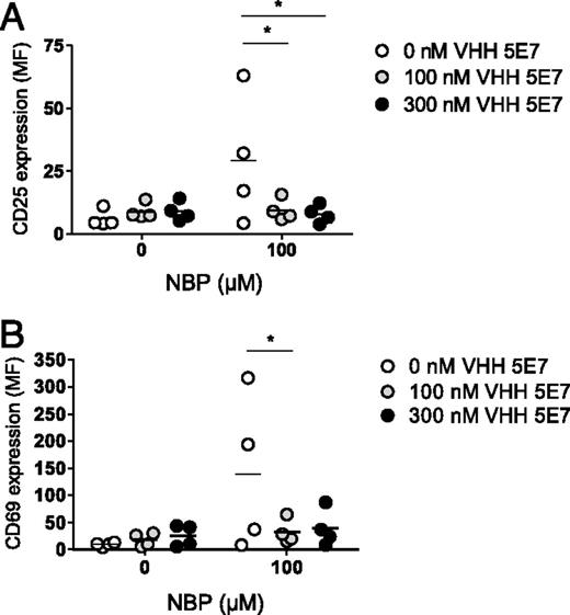 FIGURE 6. VHH 5E7 inhibits Vγ9Vδ2 T cell activation in NBP-exposed PBMCs. PBMCs from a healthy adult donor were preincubated without VHH (white), with 100 nM VHH (gray), or with 300 nM VHH (black), treated with NBP for 2 h, washed, and then cultured for an additional 24 h. Vγ9Vδ2 T cell activation was assessed by determining CD25 (A) and CD69 (B) upregulation on Vγ9Vδ2 T cells within the PBMC pool. Shown are means ± SEM of n = 4 experiments (biological replicates). The p values were calculated with a two-way ANOVA and a Bonferroni post hoc test. *p < 0.05. MF, mean fluorescence intensity.