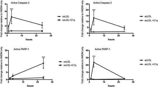 FIGURE 3. C1q decreases levels of active caspase-3 and PARP-1 in HMDM foam cells. HMDMs were incubated with oxLDL or acLDL, with or without C1q, for 1, 3, and 24 h. Levels of active caspase-3 and PARP-1 in cell lysates were determined by Luminex immunoassay and normalized to β-tubulin levels. Data are expressed as fold changes relative to levels in untreated HMDMs (n = 3 independent experiments performed in duplicate). Both time and the presence of C1q were determined to be significant sources of variation in this assay. Time: caspase 3, oxLDL F = 4.145, p = 0.0428. acLDL F = 6.422, p = 0.0127. PARP-1, oxLDL F = 22.52, p < 0.001. acLDL F = 32.69, p < 0.001. C1q: caspase 3, oxLDL F = 27.79, p = 0.0002. acLDL F = 20.12, p = 0.0007. PARP-1, oxLDL F = 32.25, p = 0.0001. acLDL F = 40.44, p < 0.001. *p < 0.05, ***p < 0.001, ANOVA with post hoc Bonferroni multiple-comparisons test.