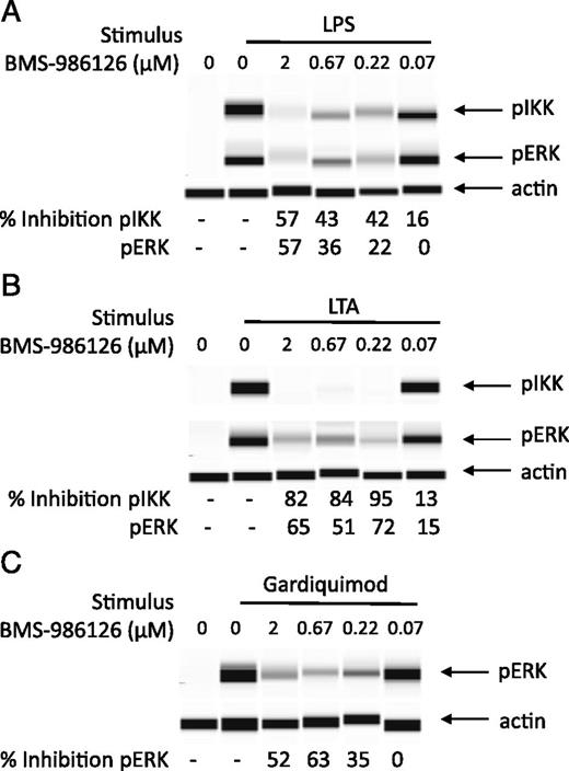 FIGURE 1. Inhibition of TLR-induced IKKα/β and ERK phosphorylation by BMS-986126. PBMCs were cultured with different concentrations of BMS-986126 and stimulated with either 100 ng/ml LPS (A) or 10 μg/ml LTA (B) for 20 min. Some groups were stimulated with 10 μg/ml gardiquimod for 30 min (C). Lysates were analyzed using the Sally Sue ProteinSimple system. The pIKKα/β and pERK bands were normalized to actin bands for each group. Percentage inhibition relative to the vehicle control is shown under each band. Cropped bands for pIKKα/β, pERK, and actin are shown. One representative experiment of two is shown.