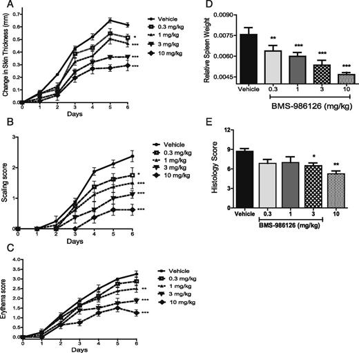 FIGURE 3. Inhibition of TLR7-induced skin inflammation by BMS-986126. C57BL/6 mice were dosed orally with vehicle or BMS-986126 at doses of 0.3, 1, 3, and 10 mg/kg/d. Imiquimod cream was applied daily on the shaved backs of the mice. Changes in skin thickness (A), scaling (B), and erythema (C) were monitored daily. At termination of the study, splenomegaly was assessed by spleen weight normalized by body weight (D). Skin histology (E) was also assessed at end of study. For (A)–(C), difference from vehicle at day 6 was assessed by two-way ANOVA with the Bonferroni test. For (D) and (E), difference from vehicle on day 6 was assessed by one-way ANOVA with a Dunnett test. Means and SEM for each group are plotted. Data are from one experiment with eight animals per group. *p < 0.01, **p < 0.01, ***p < 0.0001.