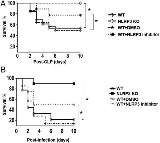 FIGURE 1. Survival in Nlrp3−/− (KO) mice or mice treated with NLRP3 inhibitor following CLP. (A) Survival of Nlrp3−/− mice and WT mice treated with NLRP3 inhibitor following CLP. The mortality of WT and Nlrp3−/− (KO) mice and mice treated with NLRP3 inhibitor was monitored for 10 d after CLP. A total of 1 mg of NLRP3 inhibitor or the same volume of DMSO was administered i.p. immediately after CLP. *p < 0.05, WT versus Nlrp3−/− mice or inhibitor-treated WT mice versus DMSO-treated WT mice (n = 20 mice per group). (B) Survival of Nlrp3−/− mice and WT mice treated with NLRP3 inhibitor after E. coli–induced sepsis. WT mice (n = 18), Nlrp3−/− (KO) mice (n = 20), and WT mice treated with DMSO (control) (n = 14) or NLRP3 inhibitor (n = 12) were subjected to E. coli (5 × 108 CFU/kg body weight) challenge, as described in Materials and Methods. Mice survival was monitored for 10 d. *p < 0.05.