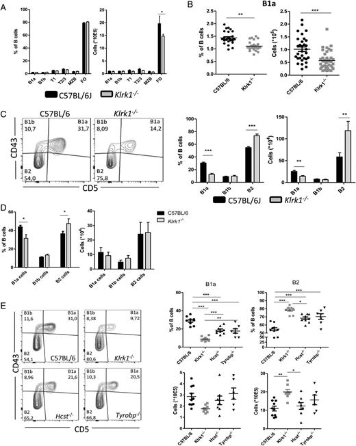 FIGURE 1. NKG2D deficiency leads to reduced peripheral B1a cell numbers. (A) Percentages and absolute numbers of B cell subsets in the spleen of C57BL/6 and Klrk1−/− mice. Shown is one of at least seven independent experiments (n = 4–8). (B) Relative and absolute numbers of CD43+CD5+CD19+ B1a cells in spleens from C57BL/6 and Klrk1−/− mice. Results show pooled data from seven independent experiments. (C) Relative and absolute numbers of B cell subsets in peritoneal cavity lavage from C57BL/6 and Klrk1−/− mice. Representative FACS plots are gated for CD19+ cells. Shown is one of at least seven independent experiments (n = 4–8). (D) Relative and absolute numbers of B cell subsets in pleural cavity lavage from C57BL/6 and Klrk1−/− mice. Shown is one of at least three independent experiments (n = 5). (E) Relative and absolute numbers of B cell subsets in peritoneal cavity lavage from C57BL/6, Klrk1−/−, Hcst−/− (DAP10-deficient), and Tyrobp−/− (DAP12-deficient) mice. Representative FACS plots are gated for CD19+ cells. Shown are pooled data from two independent experiments (n = 10). Shown are mean ± SEM. Quantifications were done by flow cytometry. *p < 0.05, **p < 0.01, ***p < 0.001 (Student t test or ANOVA with Bonferroni post-testing).