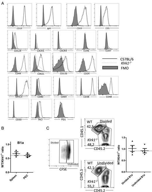 FIGURE 2. Reduced numbers of B1a cells in NKG2D-deficient mice are not related to differences in survival, proliferation, or homing. (A) Representative histograms showing expression of various surface markers on B1a cells from C57BL/6 (solid black line) and Klrk1−/− mice (dashed gray line) in comparison with fluorescence minus one (FMO) control staining (gray-filled area). (B) C57BL/6 Ly5.2/5.2 recipients were injected i.v. with peritoneal lavage cells from C57BL/6 Ly5.1/5.1 and Klrk1−/− Ly5.1/5.2 mice. One day after transfer, the donor cell ratio was determined in spleen and PECs. (C) C57BL/6 Ly5.1/5.1 recipients were injected i.p. with peritoneal lavage cells from C57BL/6 Ly5.1/5.2 and Klrk1−/− Ly5.2/5.2 mice and subsequently labeled with CFSE. Five weeks after transfer, the ratio between wild-type and knockout cells within divided CFSEdim and undivided CFSEbright donor cells was determined in PECs. Data in (A)–(C) are representative of two separate experiments with similar results (n = 3–4). Dashed line indicates the ratio of donor B1a cells before transfer. Shown are mean ± SEM. Quantifications were done by flow cytometry. WT, wild-type.