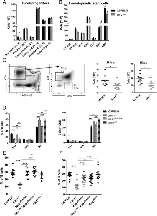 FIGURE 4. NKG2D promotes formation of B1a cells at very early stages of B cell development. (A) Quantification of B cell precursors in bone marrows of C57BL/6 and Klrk1−/− mice. Shown is one of three independent experiments (n = 4–6). (B) Quantification of hematopoietic stem cells and precursors in bone marrows of C57BL/6 and Klrk1−/− mice. Shown is one of two independent experiments (n = 5–6). (C) Representative FACS plots showing gating of B1-commited progenitor (B1cp) and B2-commited progenitor (B2cp). Quantification of B1cps and B2cps in bone marrows of C57BL/6 and Klrk1−/− mice is shown. Results show data pooled from two individual experiments. (D) Relative and absolute numbers of B cell subsets in peritoneal cavity lavage from C57BL/6, Klrk1−/−, Klrk1flox/flox, and Klrk1Δ/Δ mice. Shown is one of two independent experiments (n = 5). (E) Relative numbers of B cell subsets in peritoneal cavity lavage from C57BL/6, Klrk1−/−, Klrk1flox/flox, mb1Cre/+Klrk1flox/flox, and mb1Cre/+ mice. Shown are pooled data from three independent experiments (n = 3–11). (F) Relative numbers of B cell subsets in peritoneal cavity lavage from C57BL/6, Klrk1−/−, Klrk1flox/flox, Rag1Cre/+Klrk1flox/flox, and Rag1Cre/+ mice. Graphs represent pooled data from three independent experiments (n = 12–15). Shown are mean ± SEM. Quantifications were done by flow cytometry. *p < 0.05, **p < 0.01, ***p < 0.001 (Student t test or ANOVA with Bonferroni post-testing).