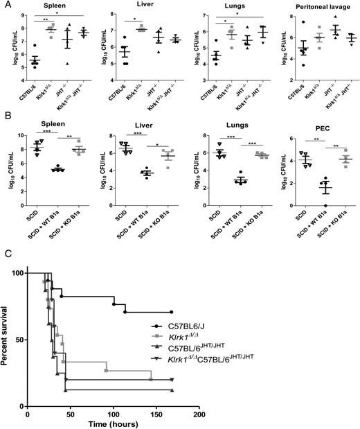 FIGURE 7. Klrk1−/− mice are sensitive to bacterial infection due to impaired B cell responsiveness. (A) Quantification of bacteremia by CFU assays in the lungs, liver, spleen, and peritoneal cavity of C57BL/6, Klrk1Δ/Δ, C57BL/6JHT/JHT, and Klrk1Δ/ΔC57BL/6JHT/JHT mice 24 h after F. novicida i.p. infection. Graphs depict one of three independent experiments (n = 3–5). (B) Quantification of bacteremia by CFU assays in the lungs, liver, spleen, and peritoneal cavity of SCID mice that were adoptively transferred with either wild-type or NKG2D-deficient B1a cells and untreated SCID mice. Graphs depict one of two independent experiments (n = 5). Shown are mean ± SEM. *p < 0.05, **p < 0.01, ***p < 0.001 (ANOVA with Bonferroni post-testing). (C) Kaplan–Meier survival analysis of C57BL/6, Klrk1Δ/Δ, C57BL/6JHT/JHT, and Klrk1Δ/ΔC57BL/6JHT/JHT mice following cecal ligation and puncture (n = 5–17 mice per group). Shown are pooled data from two out of three independent experiments.