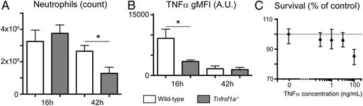 FIGURE 6. TNFR1-mediated licensing prolongs zymosan-induced inflammation. (A and B) Absolute counts (A) and TNF-α gMFI (B) for neutrophils present in the peritoneal exudates of WT or TNFR1-deficient mice injected with zymosan for 16 or 42 h. Data were obtained in two independent experiments with three mice per group. *p < 0.05. (C) Relative survival of bone-marrow neutrophils cultured for 24 h in the presence of the indicated concentrations of recombinant TNF-α. Survival is calculated as a percentage of the number of live neutrophils harvested in media alone.
