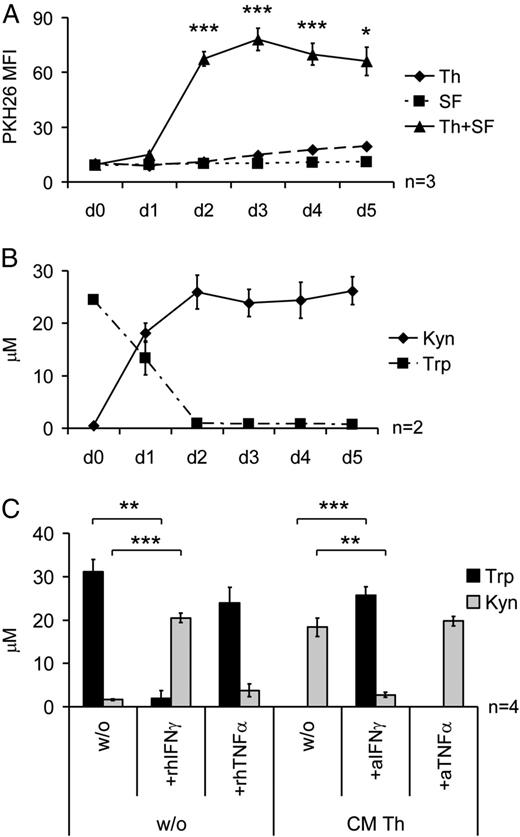 FIGURE 3. IFN-γ–dependent metabolism of tryptophan correlated with Th cell suppression. (A) PKH26-labeled Th cells were cultured in CM collected from Th cell and OASF mono- or cocultures at days 1–5 or in fresh media (day 0). T cell proliferation was analyzed on day 5 by an EPICS XL flow cytometer. (B) Concentrations of l-tryptophan and l-kynurenine in the culture supernatants collected from Th cell–OASF cocultures between day 1 and 5 were quantified by high performance liquid chromatography. (C) OASF were cultured in the presence or absence of CM of Th cell monocultures; blocking Abs (a) against IFN-γ or TNF-α or rhIFN-γ or rhTNF-α were added as indicated. l-Tryptophan and l-kynurenine levels in the culture supernatants were determined on day 3. Data are presented as mean ± SEM, and statistical significance was tested by a Student t test. *p ≤ 0.05, **p ≤ 0.005, ***p ≤ 0.001. MFI, mean fluorescence intensity.