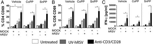 FIGURE 7. HO-1 induction slightly decreases T cell response during hRSV infection. Single-cell suspensions were obtained from mediastinal lymph nodes to evaluate T cell response in infected mice treated with vehicle, CoPP, or SnPP. The collected cells were stimulated with ultraviolet-inactivated hRSV or anti-CD3ε/CD28, or left unstimulated for 72 h. Flow cytometry detection of CD69 expression by CD4+ (A) and CD8+ (B) T cells derived from each group of mice treated without stimuli, or with hRSV or anti-CD3ε/CD28 Abs. (C) IFN-γ secretion detected by ELISA in the supernatant of lymph nodes at 72 h poststimulation with hRSV-or anti-CD3ε/CD28. Data shown are mean ± SEM from three independent experiments.