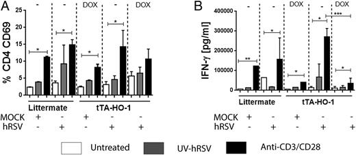 FIGURE 9. Exogenous HO-1 expression in MHC-II+ cells of conditional transgenic mice impairs T-cell function during hRSV infection. DOX and sucrose were added to the drinking water of transgenic mice (tTA-HO-1) infected with hRSV or mock (non-infected supernatant). LM mice were included as a control. Single-cell suspensions were obtained from mediastinal lymph nodes to evaluate T cell response, in the conditional transgenic mice, to hRSV infection. The collected cells were stimulated with ultraviolet-inactivated hRSV or anti-CD3ε/CD28 or left unstimulated for 72 h. (A) Flow cytometry detection of CD69 expression on CD4+ T cells derived from mice, treated without stimuli, or with hRSV or anti-CD3ε/CD28 Abs. (B) IFN-γ secretion detected by ELISA in the supernatant of lymph nodes at 72 h poststimulation with hRSV or anti-CD3ε/CD28. Data shown are mean ± SEM from three independent experiments.