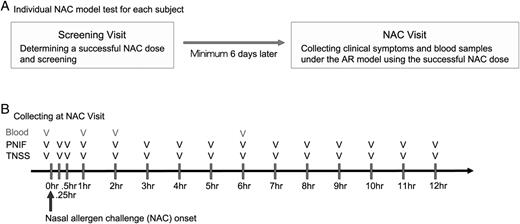 FIGURE 1. Diagram of an NAC model. (A) Individual NAC model test procedure from screening visit to NAC visit. (B) A schedule of collecting peripheral blood samples and clinical symptoms before and during NAC onset in both Q and M cohorts; in healthy nonallergic subjects, blood samples were collected at two time points (before NAC and 1 h after NAC).