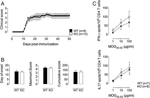 FIGURE 6. Lack of TSSP expression does not affect the course of EAE in B6 mice. (A and B) EAE was induced by MOG35–55 immunization of B6 WT (WT) and B6 Tssp° (KO) mice, as described in Materials and Methods. (A) The mean (± SEM) daily clinical score is shown. No significant difference was detected using two-way ANOVA with the Bonferroni correction. (B) The mean (± SEM) day of onset, maximum score, and cumulative score are presented. No significant difference was detected using the Mann–Whitney test. Cumulative results of two independent experiments are shown. (C) CD4 T cells were isolated from B6 WT (WT) and B6 Tssp° (KO) mice, immunized with MOG35–55 in CFA, and restimulated in vitro with graded doses of MOG35–55 peptide. The frequency of IFN-γ–producing and IL-17–producing cells was examined by ELISPOT. The mean (± SEM) of three independent experiments is shown. No significant difference was detected using the Mann–Whitney test. n, number of mice.