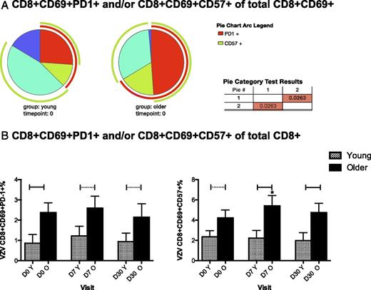 FIGURE 3. VZV-specific exhausted and senescent CD8 T cells in young and older adults. The data were derived from 25 young and 33 older adults whose PBMC were ex vivo restimulated with live VZV and mock-infected control. The data show expression of PD1 and CD57 on CD69+ T cells measured by flow cytometry in VZV-restimulated PBMC after subtraction of background control. (A) Pies show the distribution of CD8+ T cells expressing both PD1 and CD57 (red slices), only CD57 (teal slices), only PD1 (green slices), neither PD1 nor CD57 (blue slices) at D0 in young (left) and older adults (right). The light green arc indicates total CD57 and the red arc total PD1. The table shows that the distributions were significantly different (p = 0.03) between young and older adults. (B) Bars show mean and SEM of the VZV-specific CD8+CD69+PD1+% (left graph) and CD8+CD69+CD57+% (right graph) at each visit in young and older adults. The horizontal continuous lines indicate significant differences between young and older adults; dotted lines indicate marginal differences. The asterisk (*) indicates a marginal increase compared with D0 in senescent VZV-specific CD8+ T cells in older adults (p = 0.06).