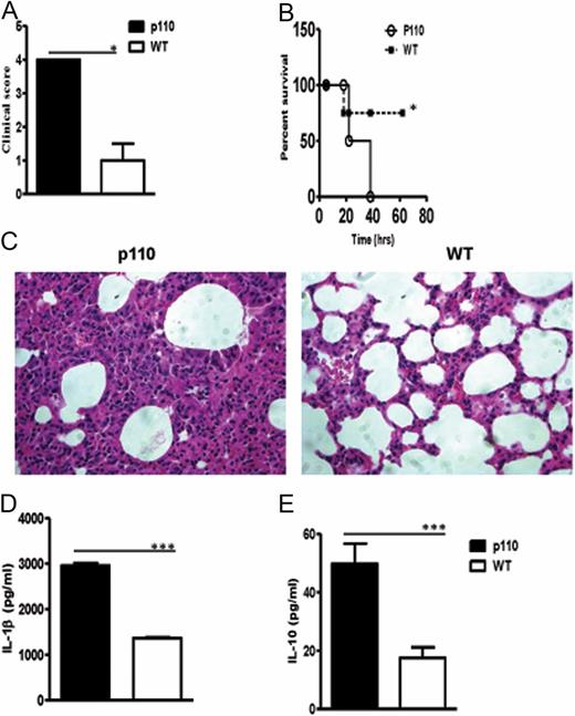 FIGURE 1. Mice lacking p110δ signaling succumb to sublethal dose LPS challenge. Groups of p110δD910A and WT mice were injected i.p. with LPS (10 mg/kg) and monitored for clinical signs at 15 h (A) and survival (B). After 15 h, some animals were sacrificed, and sections of lung tissue were stained with H&E solution. Original magnification ×40 (C). Also, lung samples were homogenized in PBS and the levels of IL-1β (D) and IL-10 (E) were determined by multiplex electrochemiluminescence detection assay. The data presented are representative of two independent experiments (n = 8 mice per group) with similar results. *p < 0.05, ***p < 0.001.