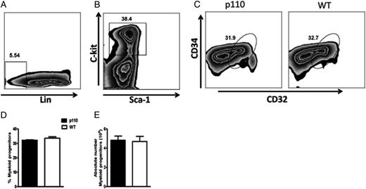 FIGURE 4. Comparable amounts of myeloid progenitors in p110δD910A and WT mice. Groups of p110δD910A and WT mice were sacrificed, and bone marrow cells were isolated. Cells were stained with Abs against lin, Sca-1, C-kit, CD32, and CD34 and analyzed by flow cytometry. Live cells were gated on lin−Sca-1−C-kit+ cells (A and B), and CD32 and CD34 expression of gated cells were determined (C–E). The data presented are representative of two independent experiments (n = 4 mice per group) with similar results.