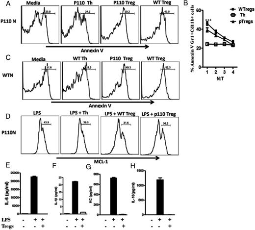 FIGURE 7. Tregs reverse LPS-induced delayed apoptosis of neutrophils from p110δD910A mice. BMDNs from WT and p110δD910A mice were cocultured with varying numbers of CD4+CD25− (Th cells) or CD4+CD25+ (Tregs) T cells from WT or p110δD910A mice in the presence of LPS, and apoptosis of Gr1+CD11b+ cells was assessed by Annexin V staining (A–C). Similarly, Mcl-1 expression on neutrophils was also assessed by flow cytometry (D). The levels of proinflammatory cytokines in the culture supernatant fluids were determined by multiplex electrochemiluminescence detection assay (E–H). The data presented are representative of three independent experiments (n = 3 mice per group) with similar results. ***p < 0.001. N:T, neutrophil/T cell.
